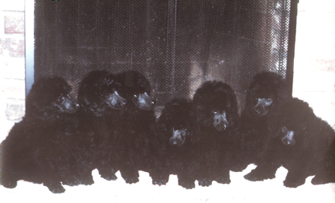 How can you not just love them?